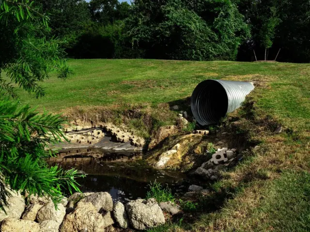 What Is Water Pollution? A Clear Guide To Causes, Effects, And Practical Solutions (2026)