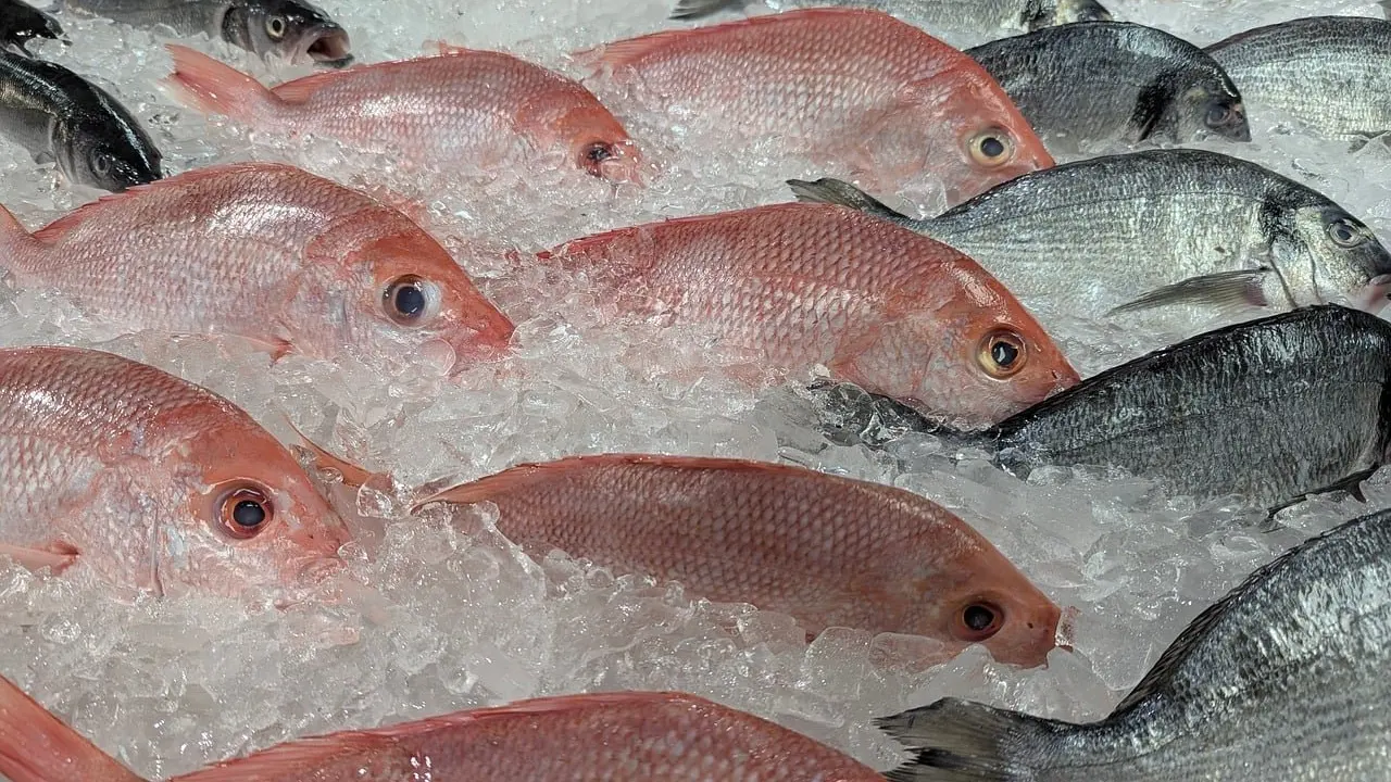 mercury in fish chart