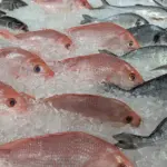 Mercury in Fish and Seafood