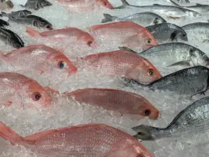 mercury in fish chart