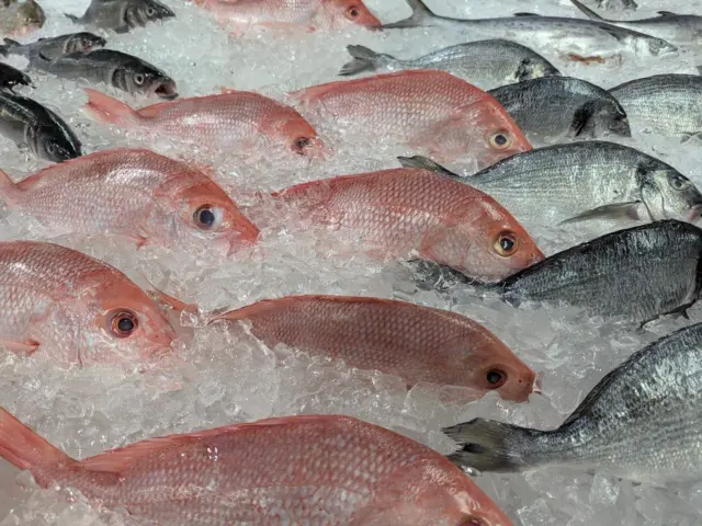 Mercury in Fish and Seafood
